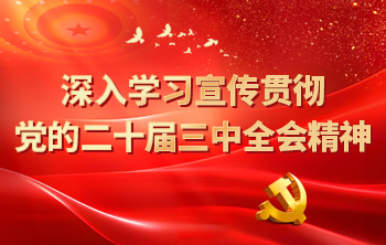 深入學(xué)習(xí)宣傳貫徹黨的二十屆三中全會(huì)精神